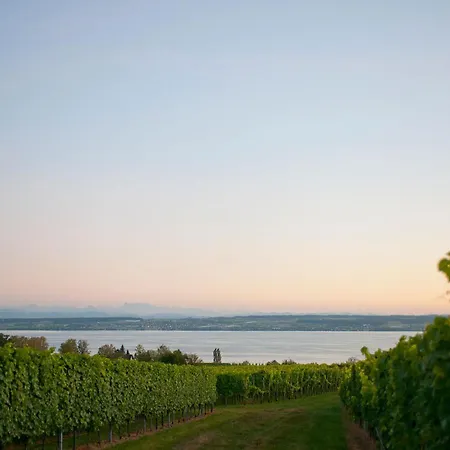 Szálloda Heinzler Am Immenstaad am Bodensee
