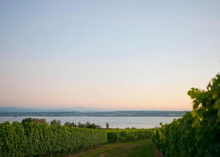 Hotel Heinzler Am Immenstaad am Bodensee